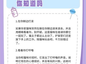 如何巧妙逃出猫咪的房间？全面攻略与深层逻辑操作映射大揭秘