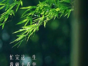 寒冷冬夜城中村相中刚回来的：一段不为人知的归程故事