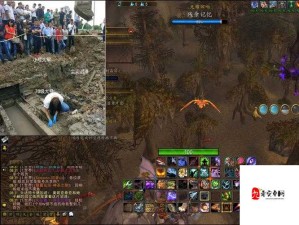 魔兽世界怀旧服揭秘，毛料最多刷怪地点全攻略