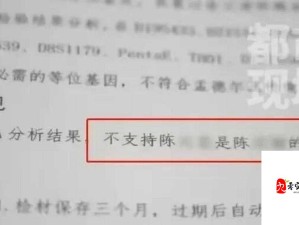 张警官吕总撞玻璃：这一事件背后的原因究竟是什么