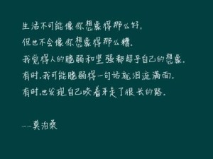 你究竟像不像个傻子？一场引人深思的幽默自我认知反思之旅