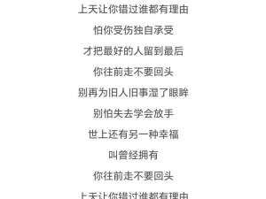 时光一去不回头是哪首歌的歌词？深度剖析其背后的意义与情感探索