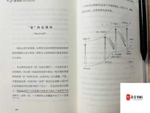 高手经验分享：探索成功背后的智慧与策略之路