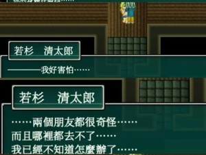 崩溃了吗？秒解决！阿加雷斯特战记黑屏问题终极指南
