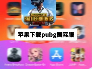 PUBG Mobile无法登录怎么办？详细解决方案助你快速进入游戏！