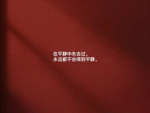 抖音热歌揭秘，资源管理中歌曲识别的重要性及高效策略