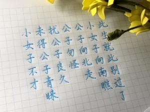 抖音热门歌曲疑问，小女子不才未得公子青睐究竟是哪首歌的歌词？