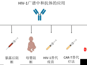 药效 h1v2：抗击艾滋病的新希望