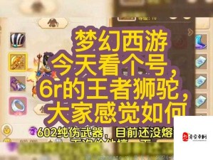 梦幻西游三维版，狮驼岭近战王者成长攻略