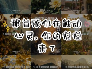 措手不及的悲伤如何安放 心灵之歌的深度探索
