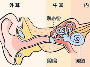 爱心捐赠平台爱的分贝如何演变？救救耳朵项目背后有何悬念？