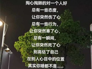 感情渐淡，乏味之歌，情感资源管理的重要性与高效策略