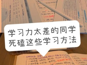 如何高效进行我和子的乱陪读？实用技巧与经验分享，提升学习效果