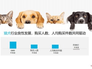 宠物小队协同作战，揭秘上阵数量与制胜策略