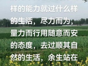 过好自己的生活，未来可期？深度解析壁纸中的隐含寓意