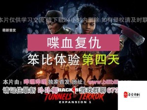 喋血复仇中冲刺卡牌完美搭配策略全解析