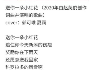 抖音热门BGM大揭秘，我送你的红玫瑰之歌背后，隐藏着哪款游戏的独特魅力？