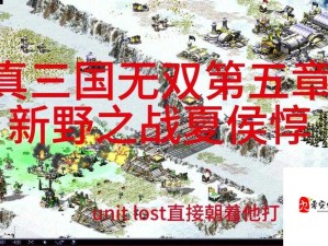 真三国无双新野之战攻略，资源管理视角下的深度玩法解析