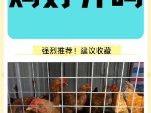 小鸡步数捐赠，探讨其在资源管理中的重要性及优化路径