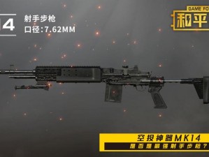 和平精英团队竞技中的枪械搭配艺术与制胜策略