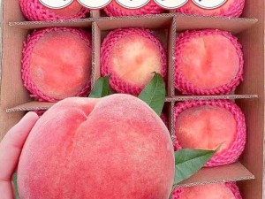 水蜜桃与水蜜桃 V2 重磅登场：甜蜜多汁的水果盛宴