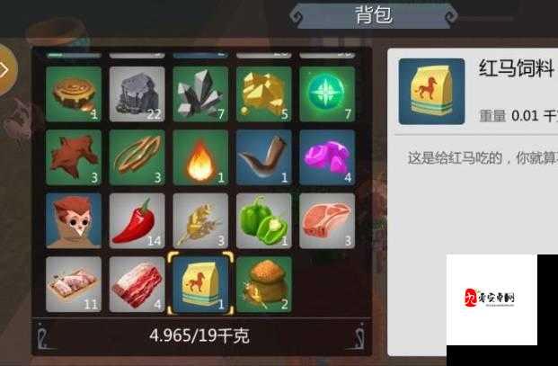 创造与魔法鹦鸟饲料包怎么做,资源管理的艺术