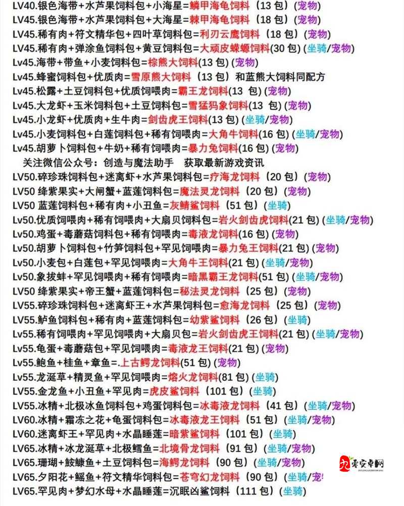 创造与魔法,打造你的专属家园宠物指南