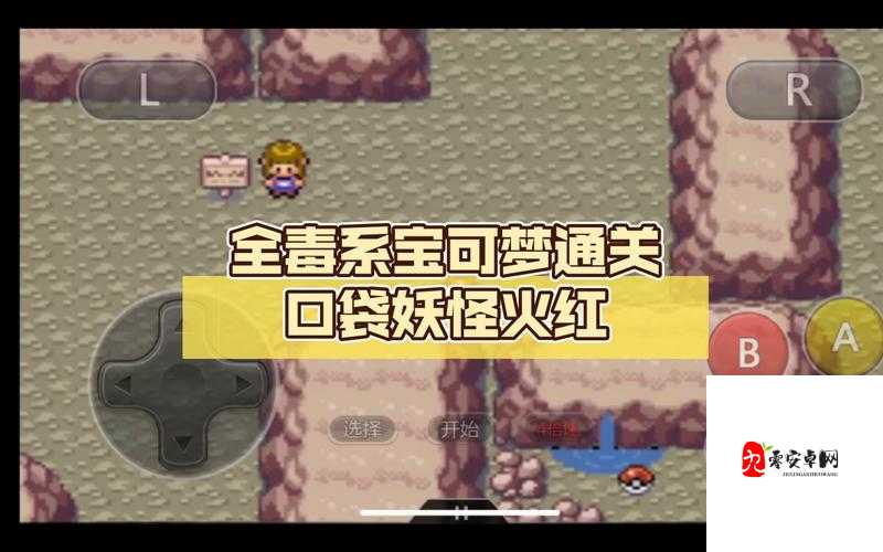 口袋妖怪最后的火红攻略,资源管理的艺术