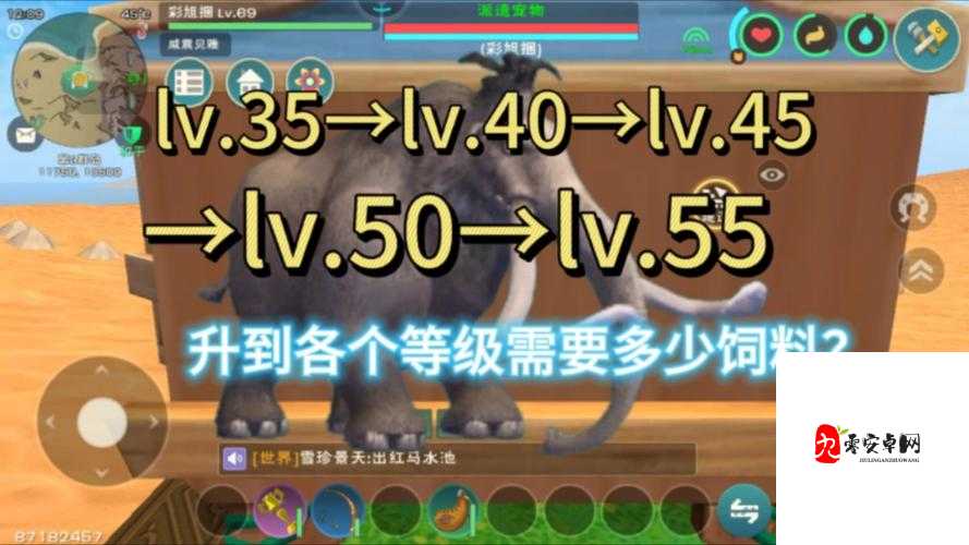 创造与魔法猛犸象，探寻最高资质的奥秘
