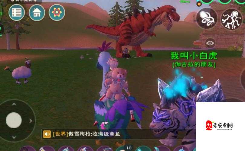 创造与魔法章鱼在哪,探索、管理与价值最大化