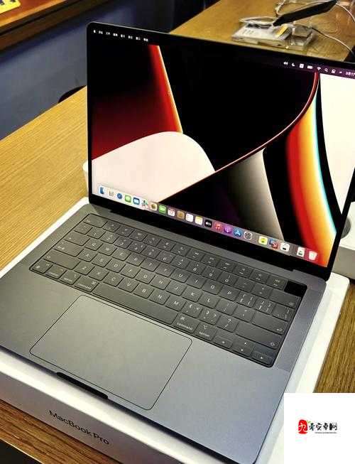MacBook Pro 高清完整性系:极致视觉体验的卓越之选