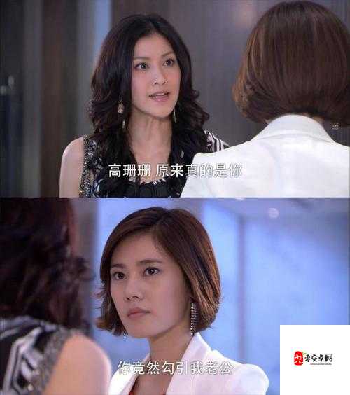原配被绿后:妻子的复仇