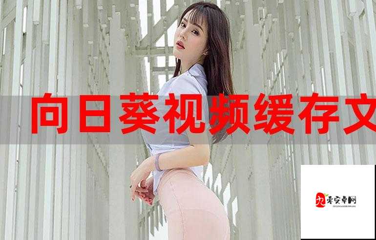 精品嫩白 BBwBBWBBw ：让肌肤焕发动人光彩的秘密武器