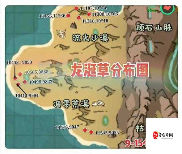 创造与魔法，沙漠肝金秘籍，解锁财富新篇章