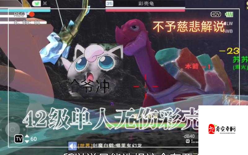 创造与魔法,无伤捕捉彩壳龟的奇妙之旅