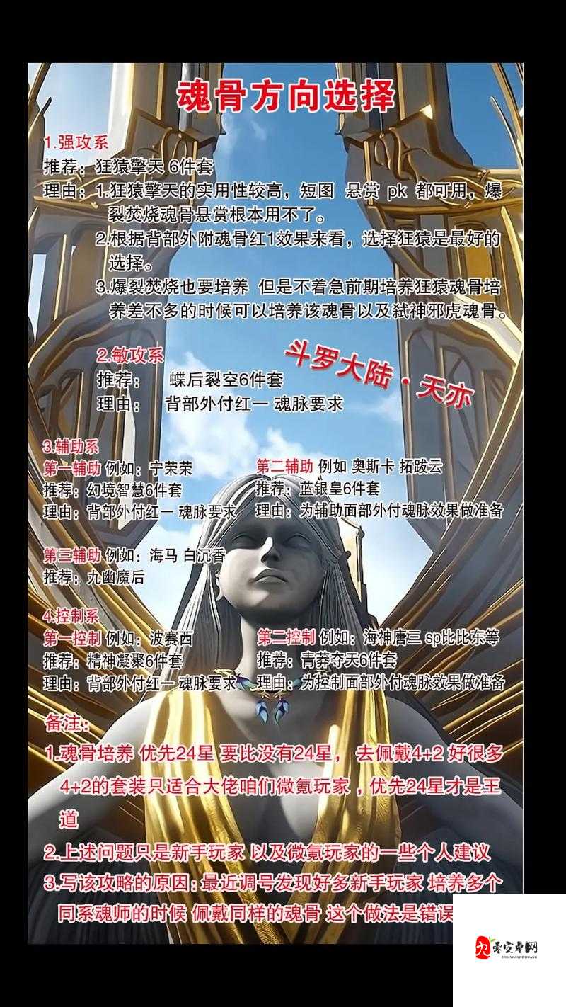 斗罗大陆魂师专属魂骨分析,资源管理的艺术