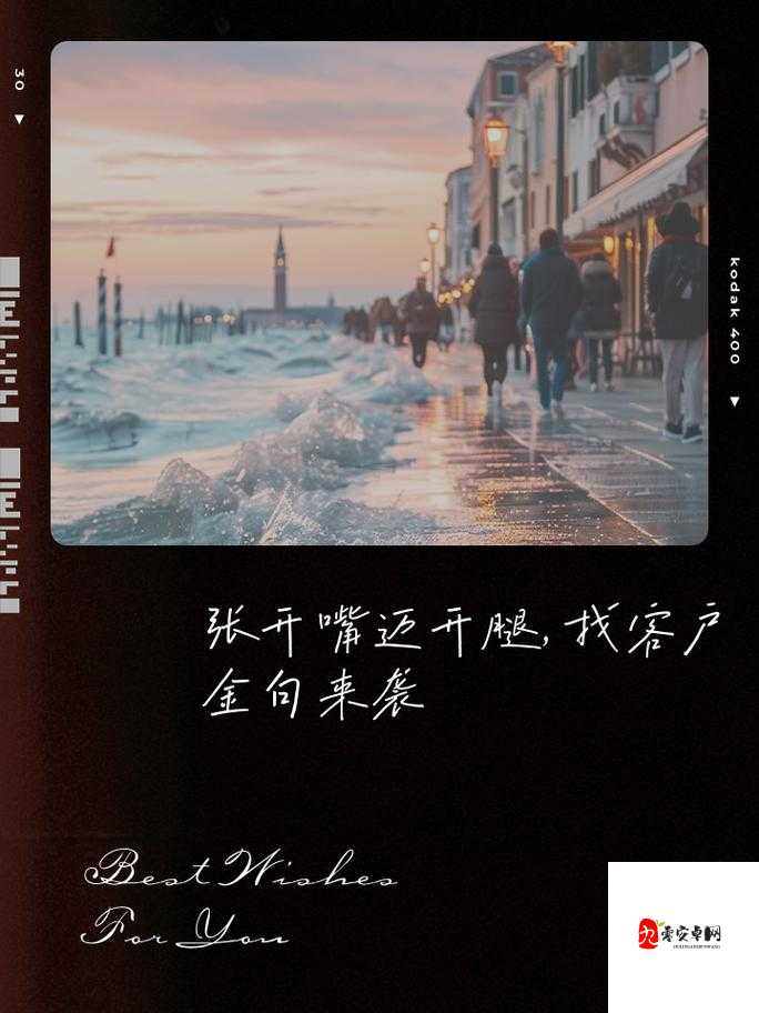 张开嘴迈开腿找客户的句子是什么意思:深度解析与探索