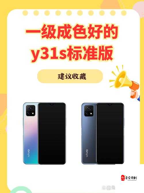 一级成色好的 y31s 标准版评测 ios 版-深度体验与全面解析