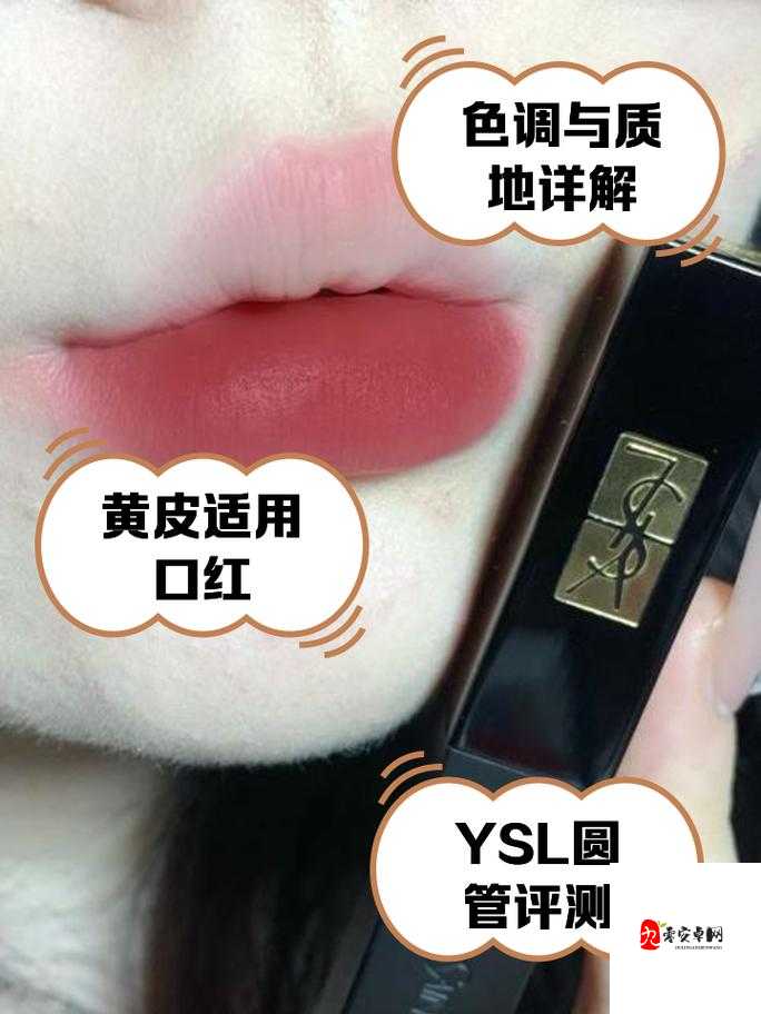 ysl 蜜桃棕调色技巧:打造自然清新妆容