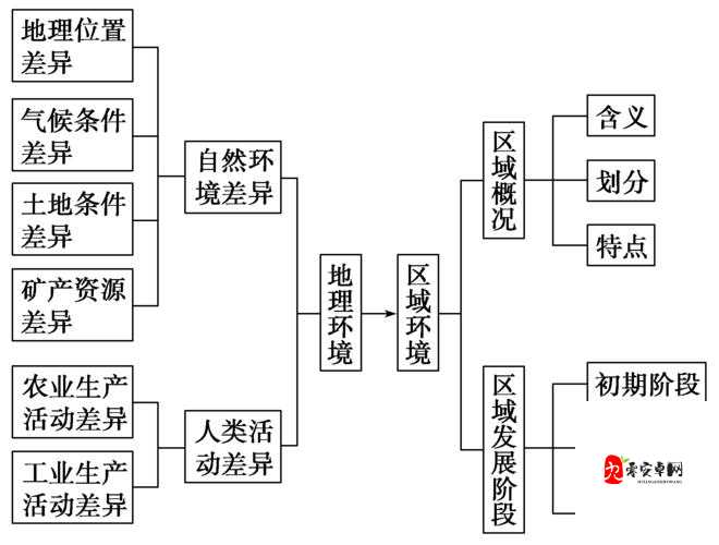 亚洲无线一二三四五区别:深入探讨其具体内涵与差异