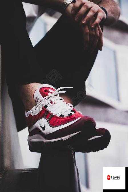 成品站 nike 源码免费：提供优质的相关资源与信息