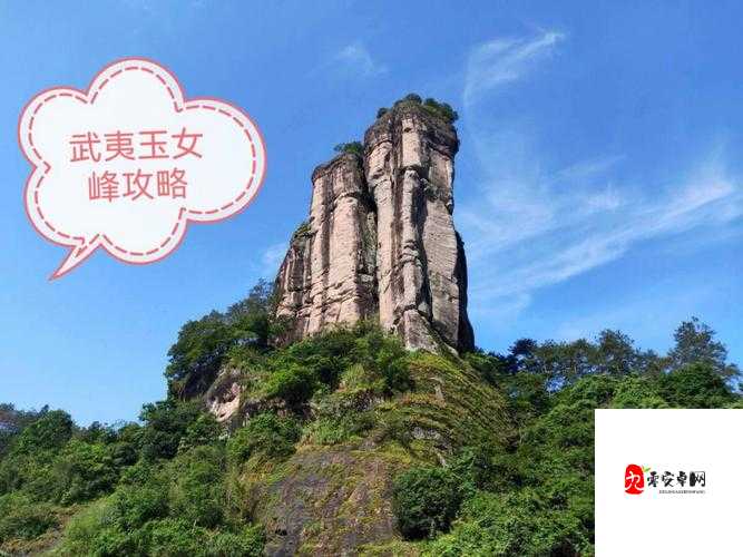二曲亭亭玉女峰邻水插花像谁用:探究其背后的神秘意象