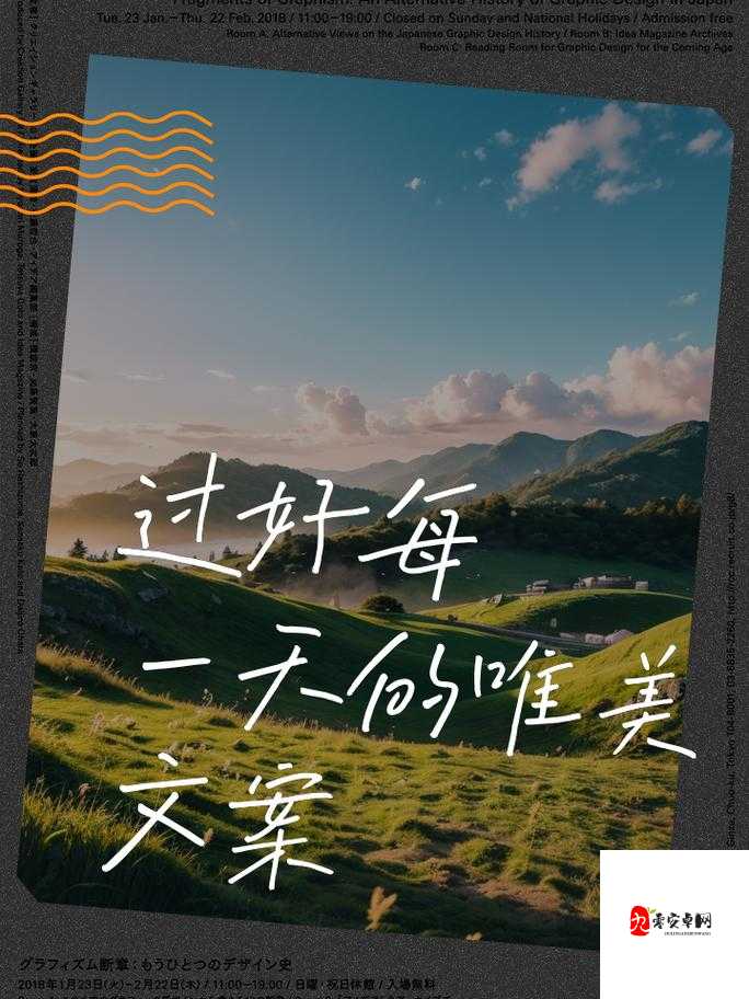 zw 时看的文案：一段令人深思的独特见解与观察
