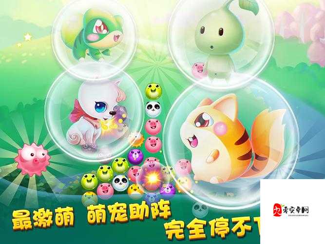 萌萌方块，解锁高分秘籍，让你成为游戏界的闪耀之星