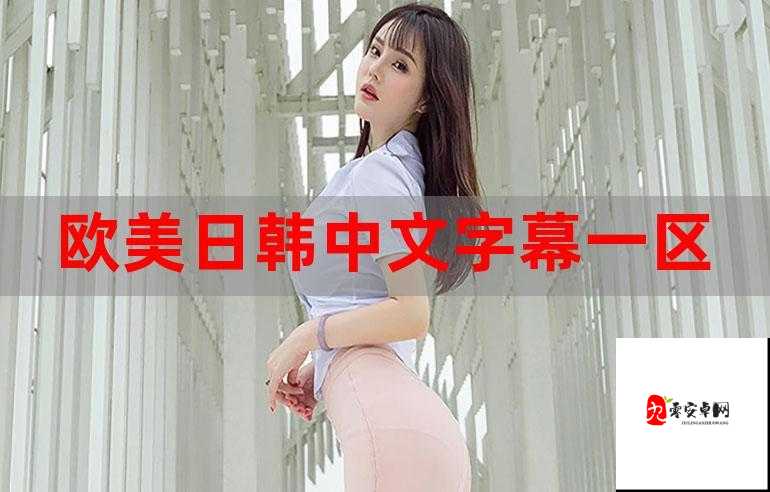 欧美精产国品一二三区：带你领略欧美精品的独特魅力