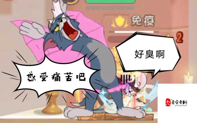 猫和老鼠，仙女鼠表现与能力展示在资源管理中的重要性及策略