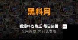 51 吃瓜今日吃瓜 app：呈现最新鲜的娱乐资讯