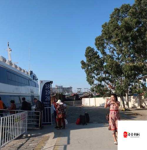 jy 浇灌系统公交车:一场别样的城市之旅