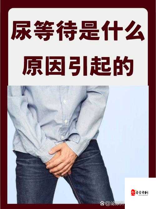 尿在肚子里不能流出来肉:探寻其背后的神秘现象与原因