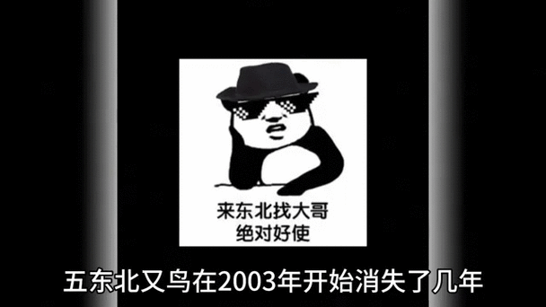 911 吃瓜爆料网八卦有理官网:揭秘娱乐圈隐秘趣事